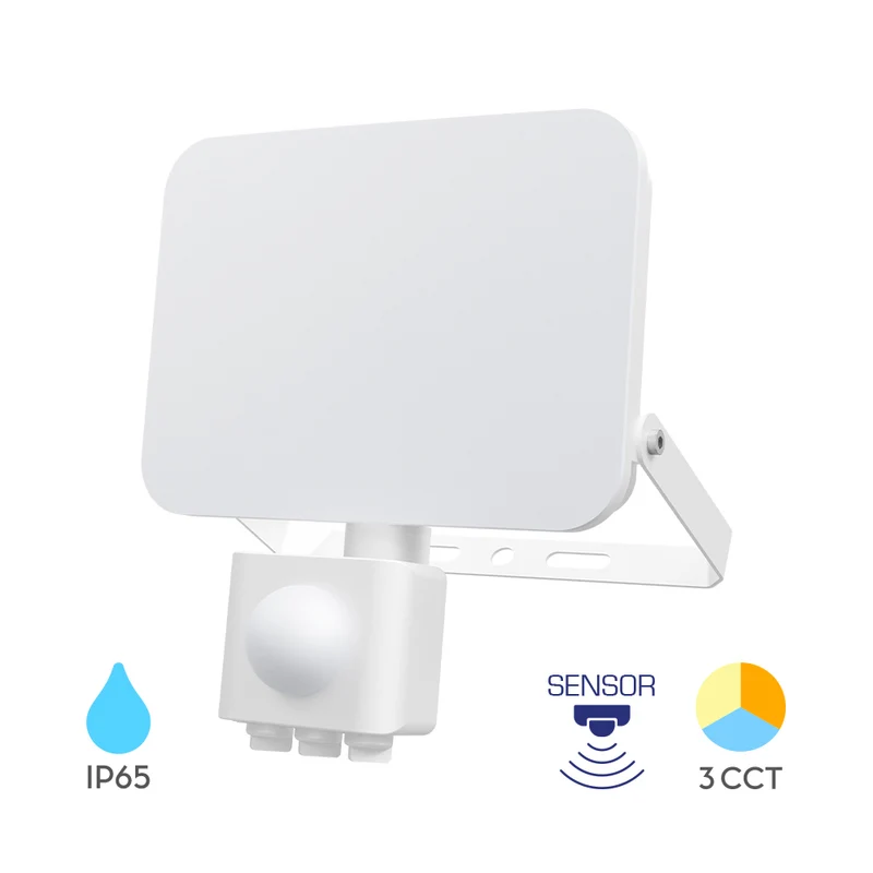 Braytron LED Fluter 30W 2850lm 3CCT IP65 mit Bewegungsmelder – Weiß