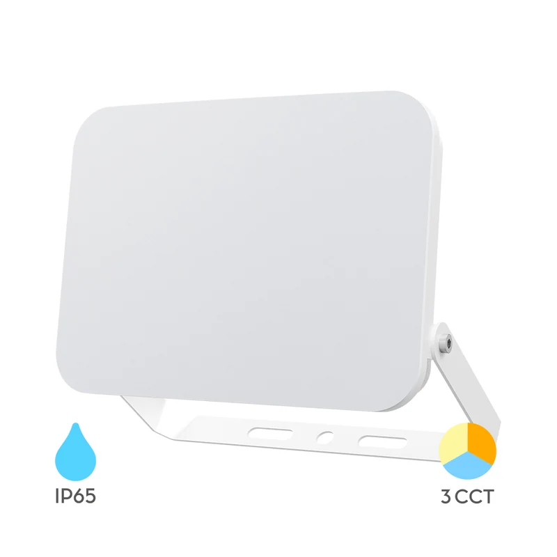 Braytron LED Fluter 100W 9500lm 3CCT IP65 Außenstrahler – Weiß