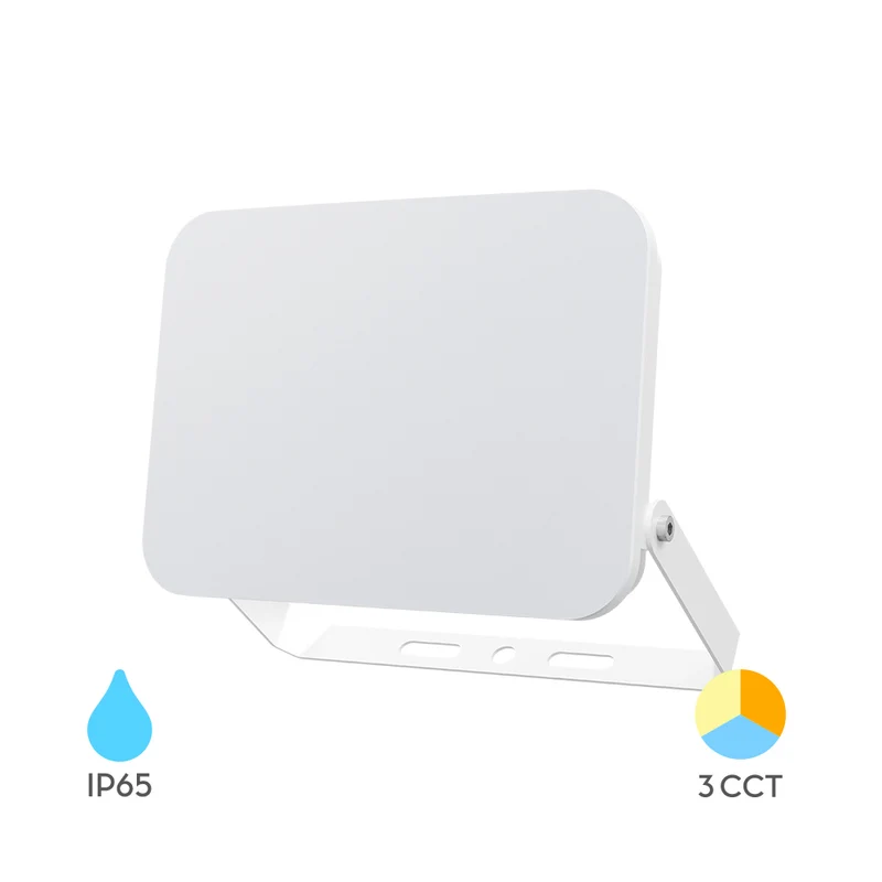 Braytron LED Fluter 30W 3CCT IP65 – 2.850 lm Weiß