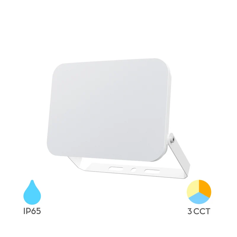 Braytron LED Fluter 20W 3CCT IP65 – 1.900 lm Weiß