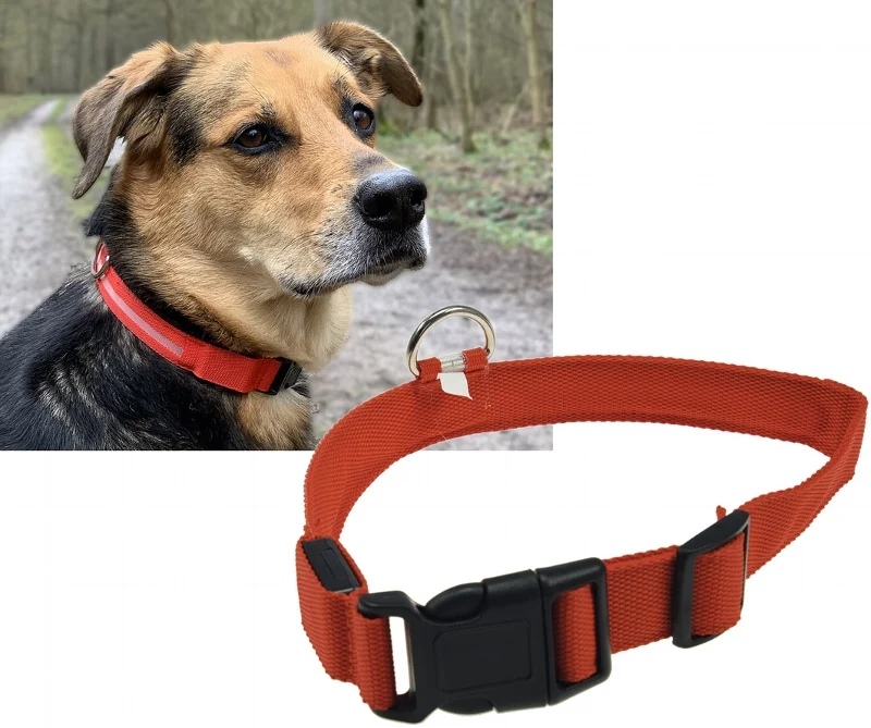 Hunde-Halsband leuchtend mit LED 28-35cm, Größe S, rot