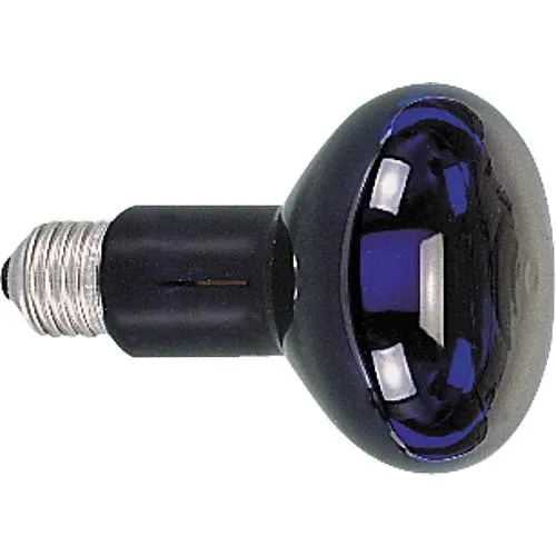 Paulmann Reflektorlampe Schwarzlicht 75W E27 Schwarzlicht