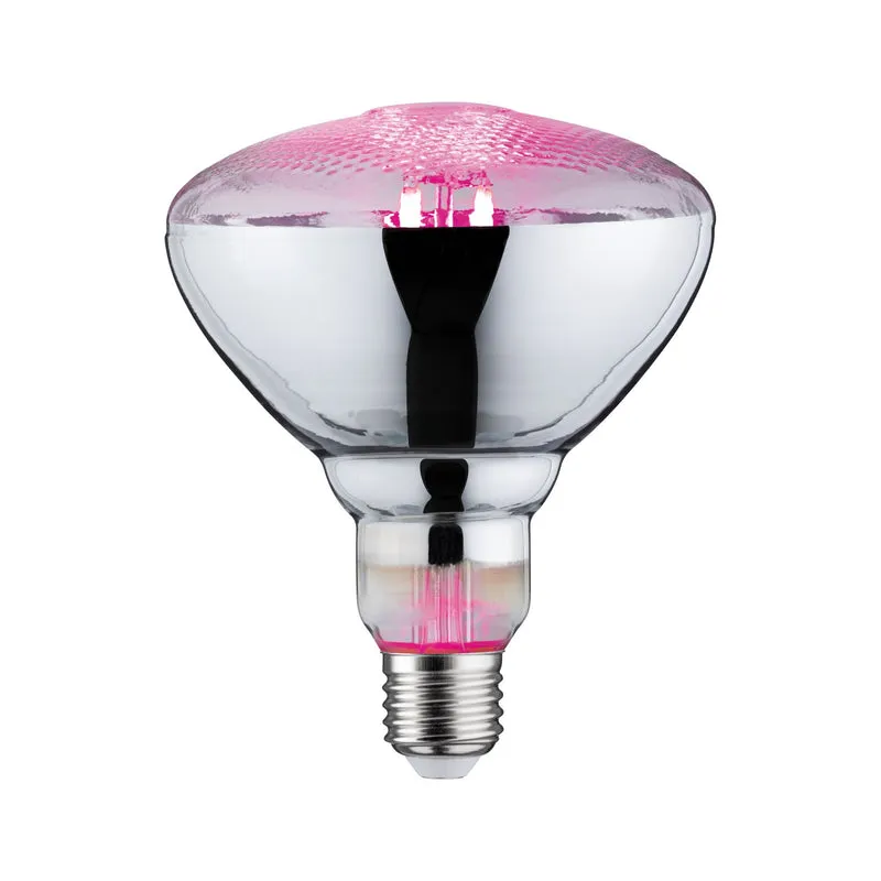 Paulmann LED Fil Plant PAR38 E27 6,5W 230V