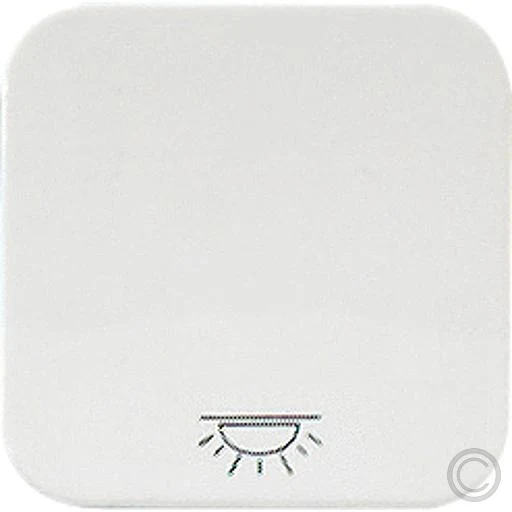 EGB Elegant Standard Wippe Symbol Licht reinweiß 90630003 / 92520003