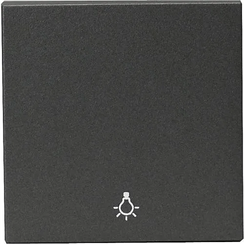 Karre Wippe mit Symbol Licht anthrazit/fume 92205403 / 92510803