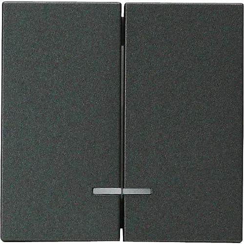 Karre Serienwippe 2-fach beleuchtet anthrazit/fume 92205450 / 92510850