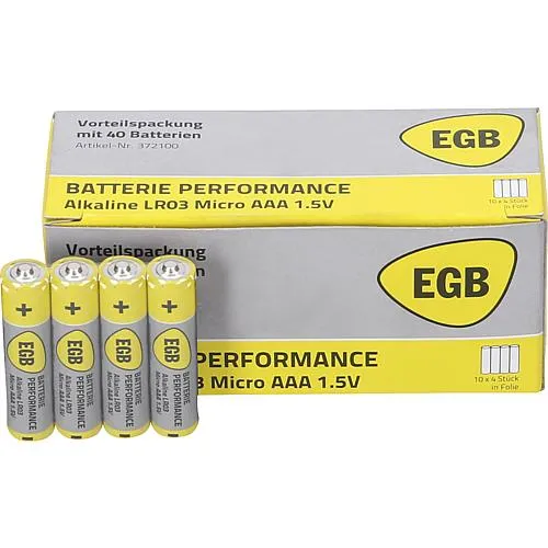 EGB Alkaline-Batterie Micro LR3