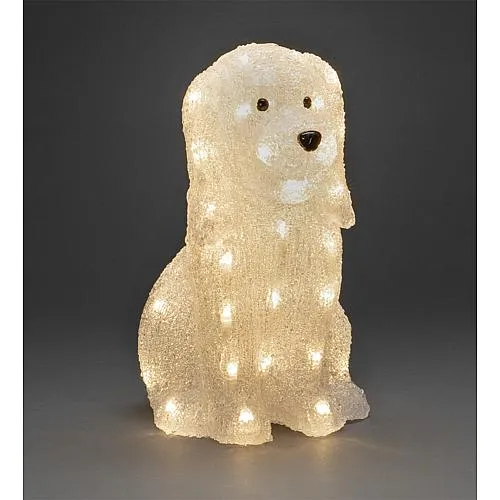 LED Acryl Hund 40 ww LED außen 6299-103