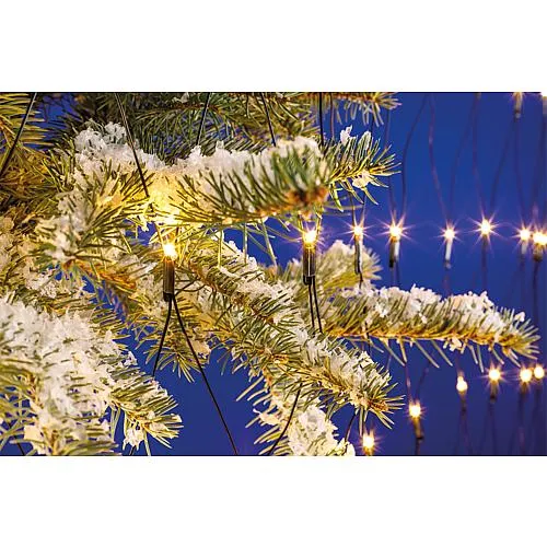 EGB LED-Lichternetz 1m x 1m 96 ww LED 4027236043430