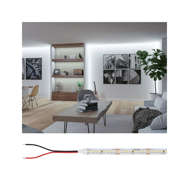 Paulmann Pro Strip LED Strip Silver P150 865 5m 50W 1550lm/m 160 LEDs/m 6500K