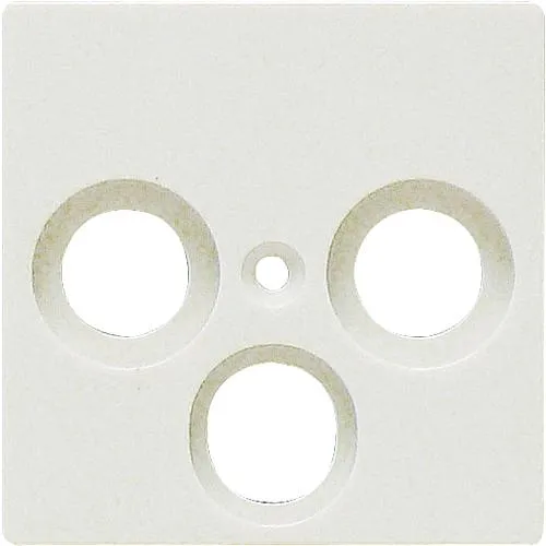 V55 Antennenabd.3-Lo.rw