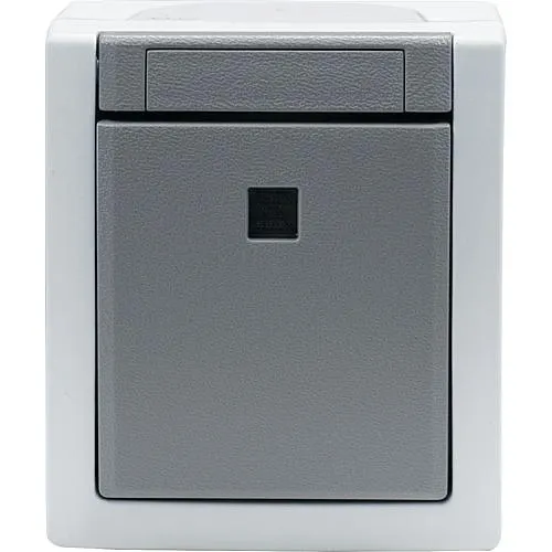 Pacific FR Wechselschalter beleuchtet grau 90591063-DE